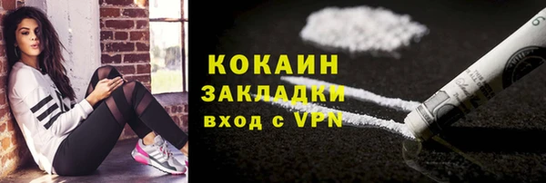 гидра Гусиноозёрск