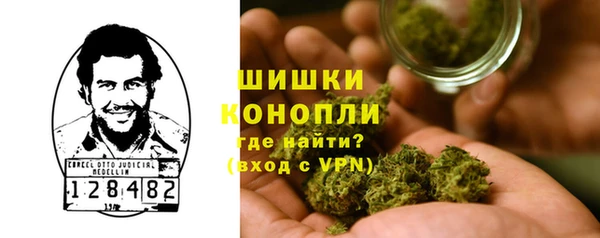 мяу мяу мука Гусь-Хрустальный