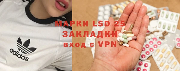 мяу мяу мука Гусь-Хрустальный