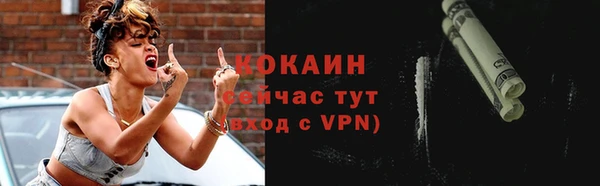гидра Гусиноозёрск