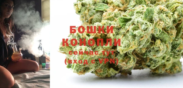 прущие крисы Гусев