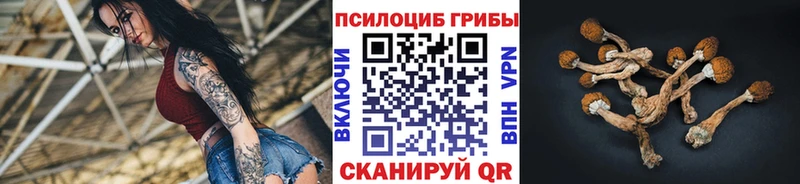 Купить  Лебедянь  Галлюциногенные грибы Cubensis 