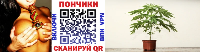 Бошки марихуана THC 21%  Купить закладки  Лебедянь 